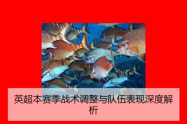 ying-chao-ben-sai-ji-zhan-shu-tiao-zheng-yu-dui-wu-biao-xian-shen-du-jie-xi-2-964.jpg